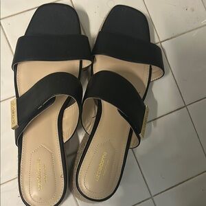 Liz Claiborne Black Flat Sandals